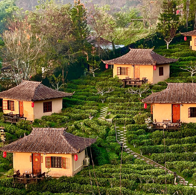 Serene Splendor: Chasa RakThai Retreat
