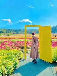 【絶景】まるで絵本の世界📖カラフルな秋の花々がかわいい虹の花まつり2023🌼