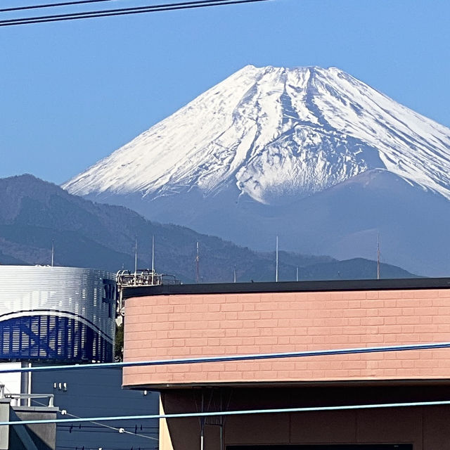東京自由行｜一定要來河口湖富士山🗻
