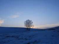 【冬日內蒙深度遊】烏蘭布統雪景，限冬天