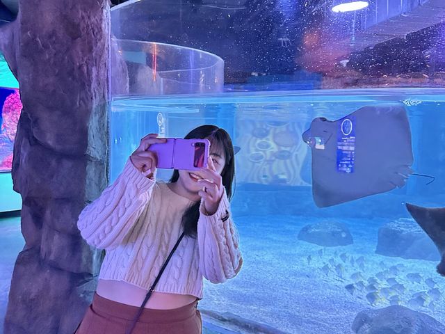부산에 하나뿐인 아쿠아리움🐳