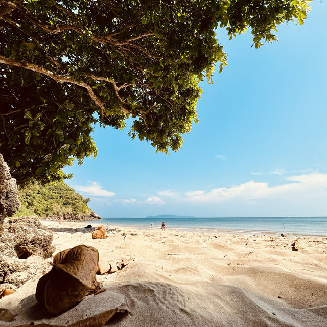 Magnificent Moo Koh Lanta National Park 2024