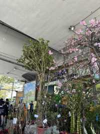 建國假日花市：花卉與玉器的亞洲最大市場 🌸🛍️
