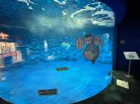 【仙台うみの杜水族館】水族館とちいかわ