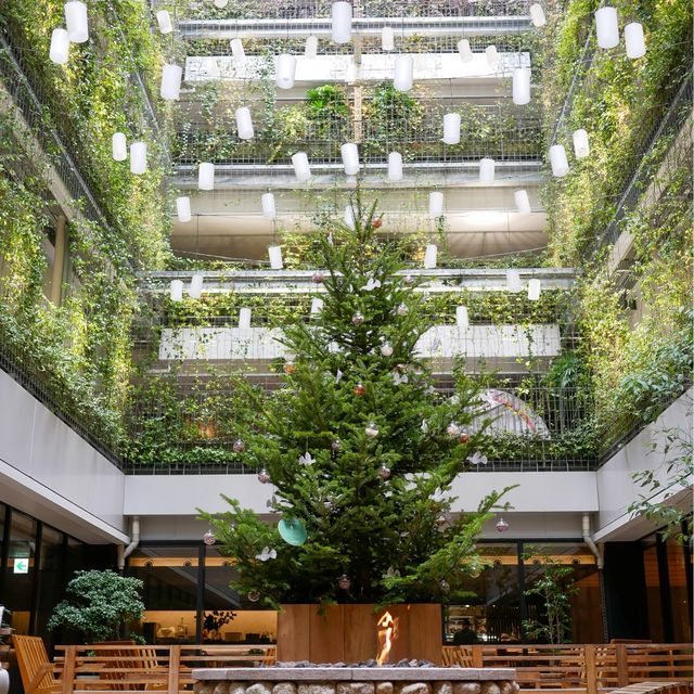 【京都・河原町】京都で泊まるならここ！緑に囲まれた非日常ホテル🌳