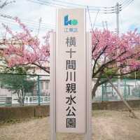 【東京】スカイツリー×桜🌸が撮れる穴場スポット📷´-