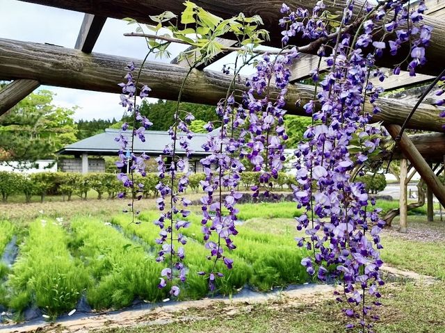 Akita Prefectural Koizumigata Park