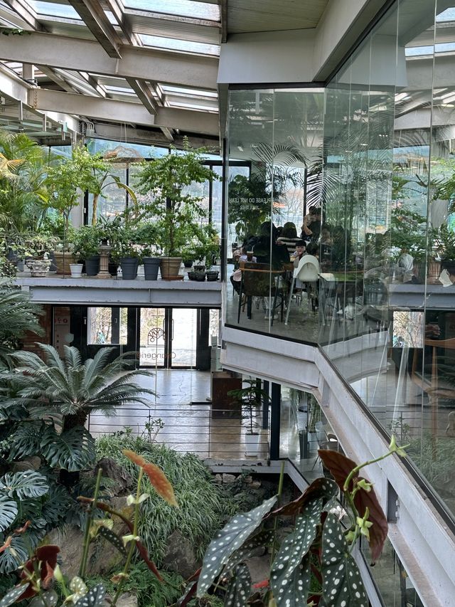 커다란 온실 정원에서 자연을 바라보며 🌴 실내 산책 데이트를 할 수 있는 양주 오랑주리 🌺