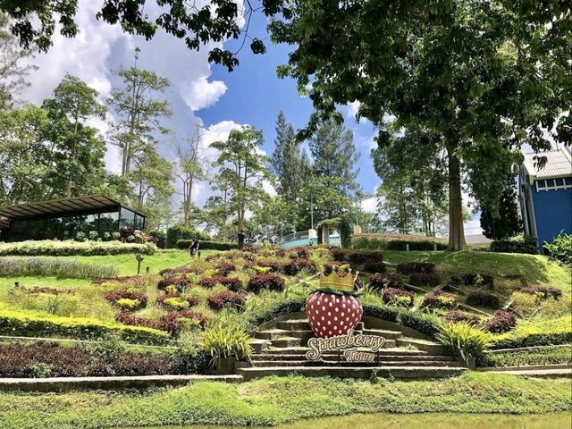 Brookside Valley Resort 
