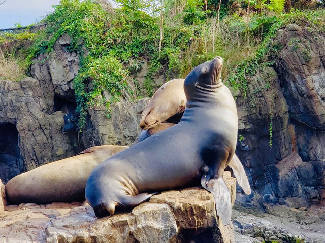 New York Aquarium