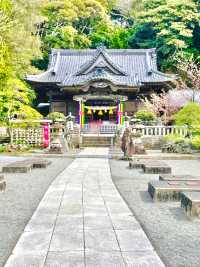 【伊古奈比咩命神社/静岡県】伊豆最古の宮と桜