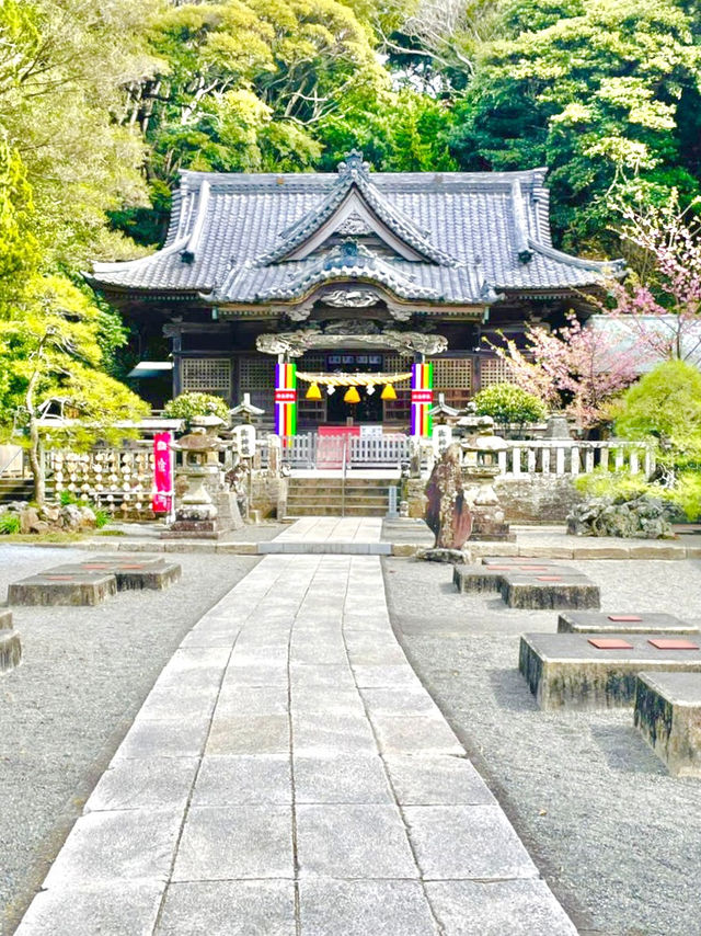 【伊古奈比咩命神社/静岡県】伊豆最古の宮と桜