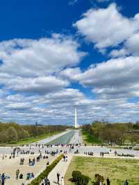 Blossom Bliss: Washington D.C.'s Tidal