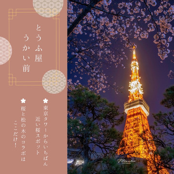 おすすめ！東京タワー桜スポット🗼🌸 | Trip.com 東京