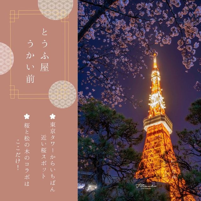 おすすめ！東京タワー桜スポット🗼🌸