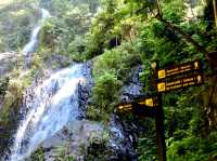 Khao Phanom Bencha National Park