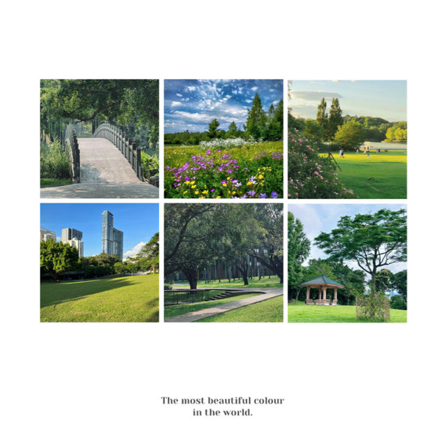「新加坡難得的市區綠洲：肯特崗公園」