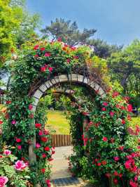 Theme Garden Grand Seoul Park 