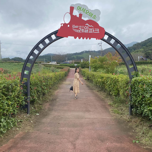 釜山景點-洛東江鐵道自行車