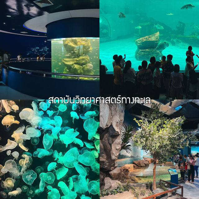 15 พิกัด เที่ยวบางแสน