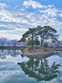 【長野・桜】まさに穴場の絶景✨リフレクションと残雪×桜はここ‼️