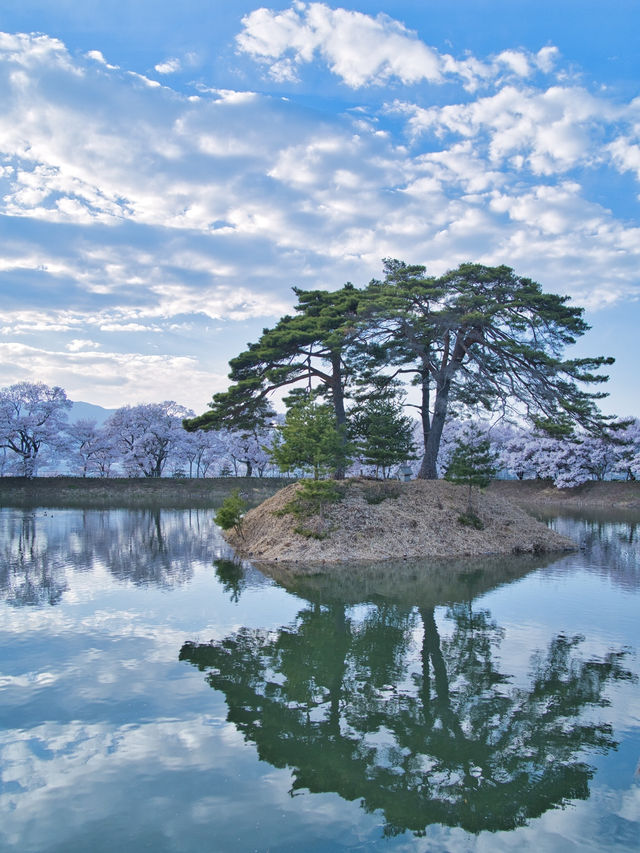 【長野・桜】まさに穴場の絶景✨リフレクションと残雪×桜はここ‼️