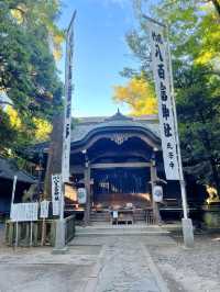 【パワースポット】島全体が神域！竹島の八百富神社⛩