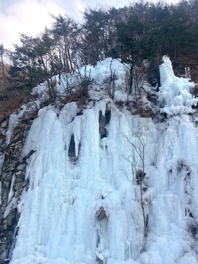 한국에서 빙하를 만나는❄️ 겨울 청송 얼음골 여행