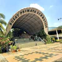 Ragunan Zoo 