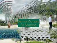 Day Walking Around SensoryScape Sentosa