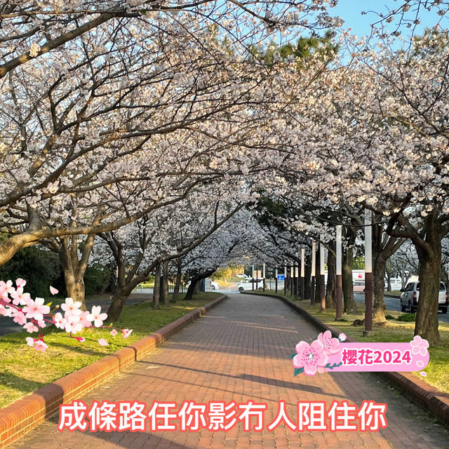 海之中道🥰海濱公園