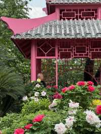 💐 Manhua Manor • Chengdu 