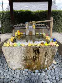 【京都】それはこのお寺にありました