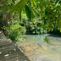บ้านไม้ชายน้ำรีสอร์ท ป่าพะยอม - พัทลุง 🛖🌳..