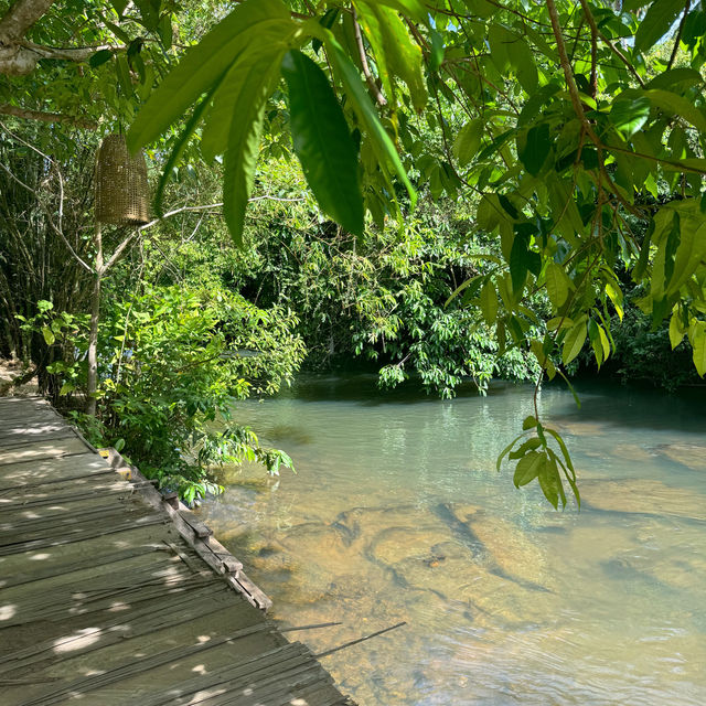 บ้านไม้ชายน้ำรีสอร์ท ป่าพะยอม - พัทลุง 🛖🌳..