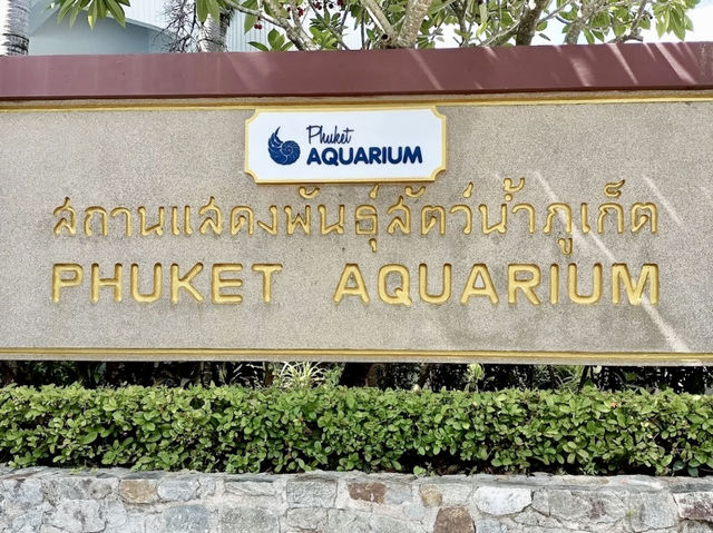 Phuket Aquarium