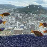 【香川】天空127mの空の金魚アート水族館