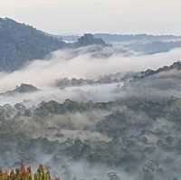 Danum Valley