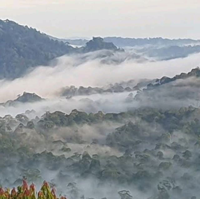 Danum Valley