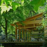 名馬軒營地：湖光山色，春天好去處
