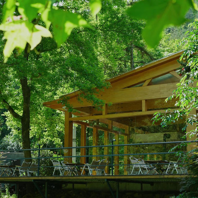 名馬軒營地：湖光山色，春天好去處