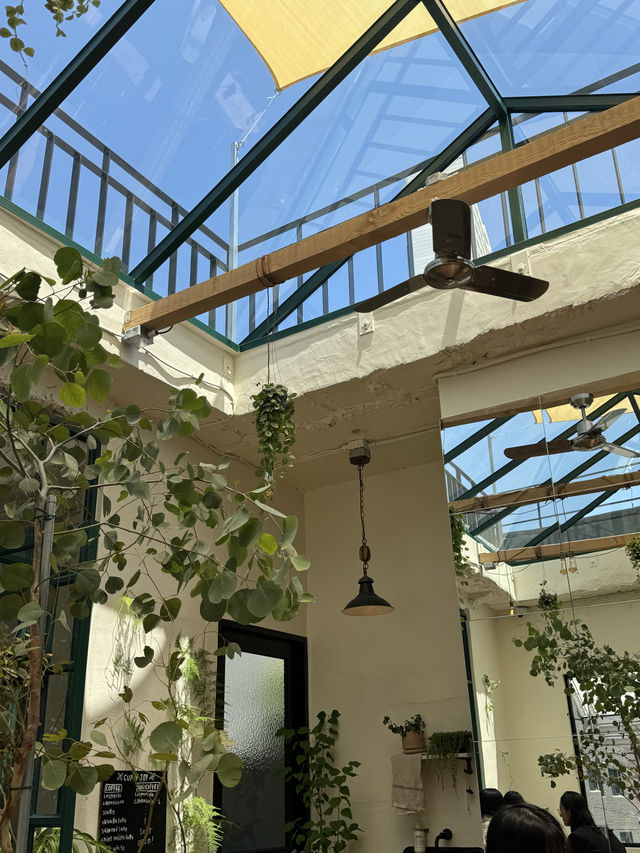 💚초신상 채광맛집 치앙마이 감성 카페 추천🌿