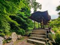日本京都-能拍到京都塔小橋湖水倒影：涉成園