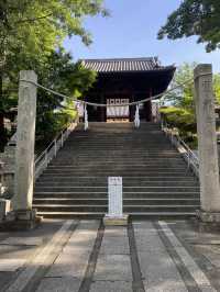 【倉敷】美観地区行くなら外せない阿智神社