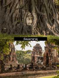 เที่ยวอยุธยา 2 วัน 1 คืน เช็คอิน 7 พิกัดฮิต ❤️