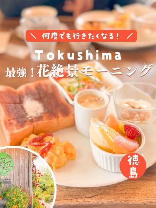 [Tokushima] The best place! Morning with a spectacular view of flowers 💓🌺