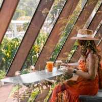 รีวิว Brown Cabin Chocolate Cafe