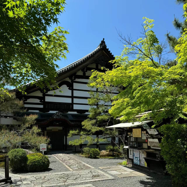 小國神社：日本神道文化的優質目的地，悠久歷史傳統，感受神聖氛圍