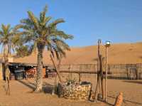 Dubai Desert Conservation Reserve