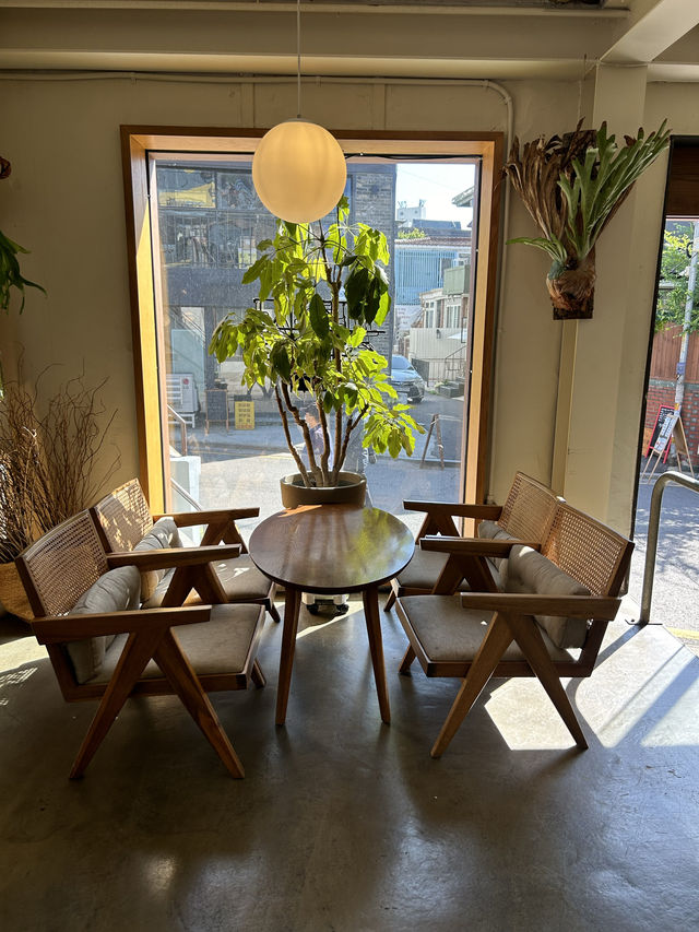 韓国で南国気分が味わえる？！🌴望遠にオシャレカフェ✨